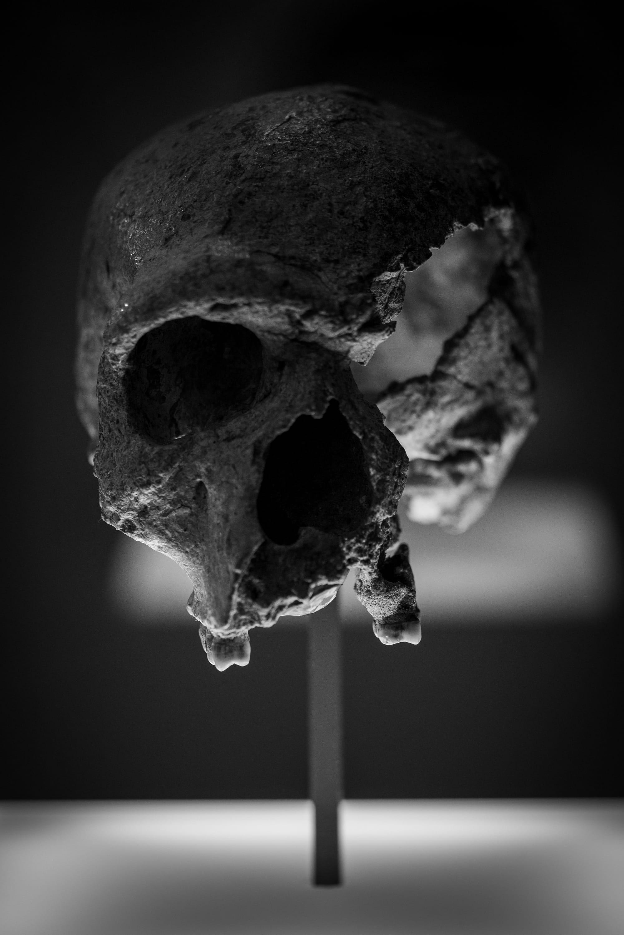 We are Primitive Man
