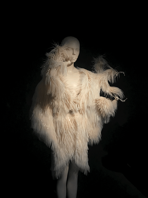 Work by Iris Van Herpen
